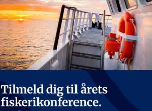 For i stedet for at holde én samlet konference, vil der næste år blive holdt to lokale af slagsen, en i Hvide Sande og en i Thyborøn.  foto: Fiskeritidende.dk