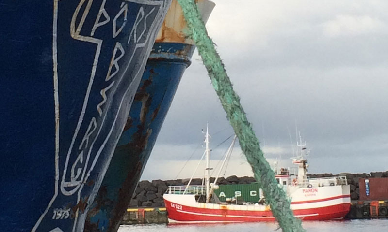 Read more about the article De islandske fiskeriforhandlinger kollapset
