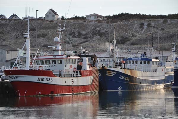 Read more about the article Bæredygtige fiskerimetoder og afsætningsfremme