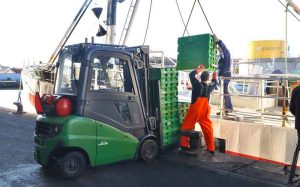 Tempoet er højt på havnen, og det gælder også på jubilæumsdagen. Men der bliver alligevel tid til at stoppe op, hilse på og ønske tillykke – hvad enten man er fisker på vej til havs igen eller én af de mange, der har deres daglige gang omkring sorteringen.  foto: Fiskernes Fiskesortering Hirtshals