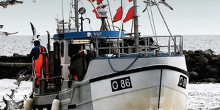 Skibes stabilitet på dagsordenen i IMO  Foto: Søfartsstyrelsen