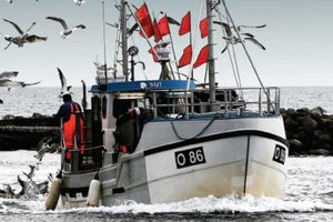 Nemt og sikkert fiskeri  Foto: Søfartsstyrelsen