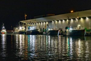 Fiskernes Fiskesortering i Hirtshals markerer i morgen, torsdag den 19. marts 2026, sit 60-års jubilæum. foto: Fiskernes Fiskesortering Hirtshals