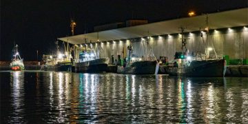 Fiskernes Fiskesortering i Hirtshals markerer i morgen, torsdag den 19. marts 2026, sit 60-års jubilæum. foto: Fiskernes Fiskesortering Hirtshals