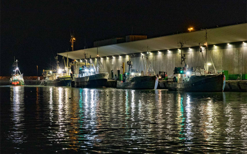 Read more about the article Fiskernes Fiskesortering i Hirtshals fejrer torsdag 60-års jubilæum