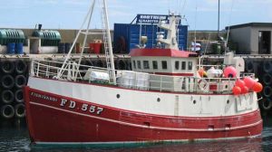 Færøerne: Fiskeriet er fornuftigt efter hvidfisk og guldlaks