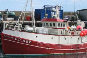 Færøerne: Fiskeriet er fornuftigt efter hvidfisk og guldlaks