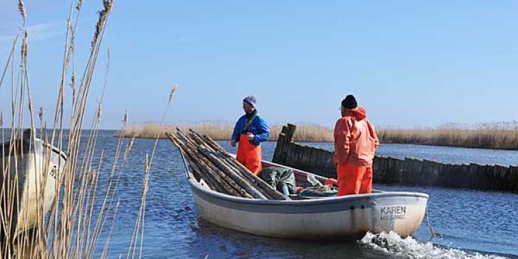 Fjordfiskerne på vej ud og sætte garn - Foto: FiskerForum