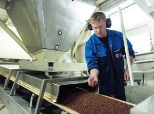 Fabrikken Havsbrún i Fuglefjord har haft travlt med at modtage store mængder blåhvilling, der primært bruges til fiskemel og fiskeolie – en vigtig eksportvare for Færøerne.
  foto: Havsbrun