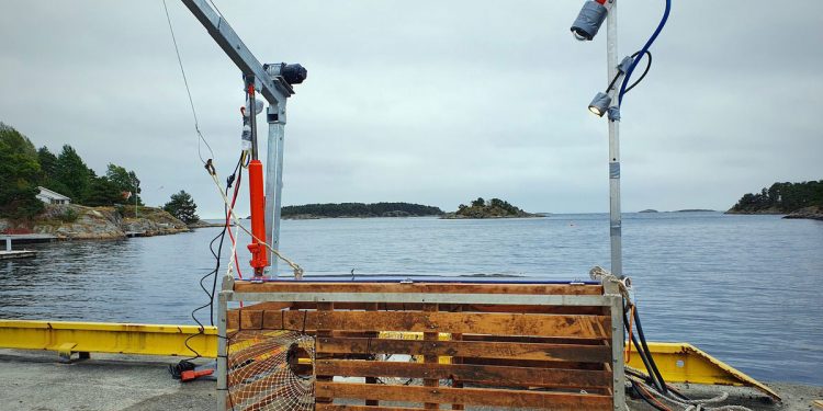 Norsk Havforskningsinstitut med live-streaming - følg en »Hummer-tejner« i aktion. foto: Lene Christensen HI.no