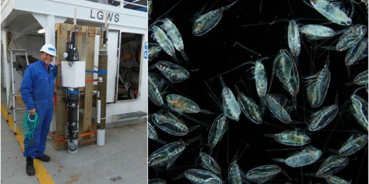 Norske forskere bruger undervandskameraer og smarte bøjer til at kortlægge plankton – en nøgle til livet i havet. foto: HI - Henrik Søiland og Terje van der Meeren