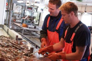 Fiskeriteknolog uddannelsen flytter fra Esbjerg.  Fiskeriteknologer Esbjerg