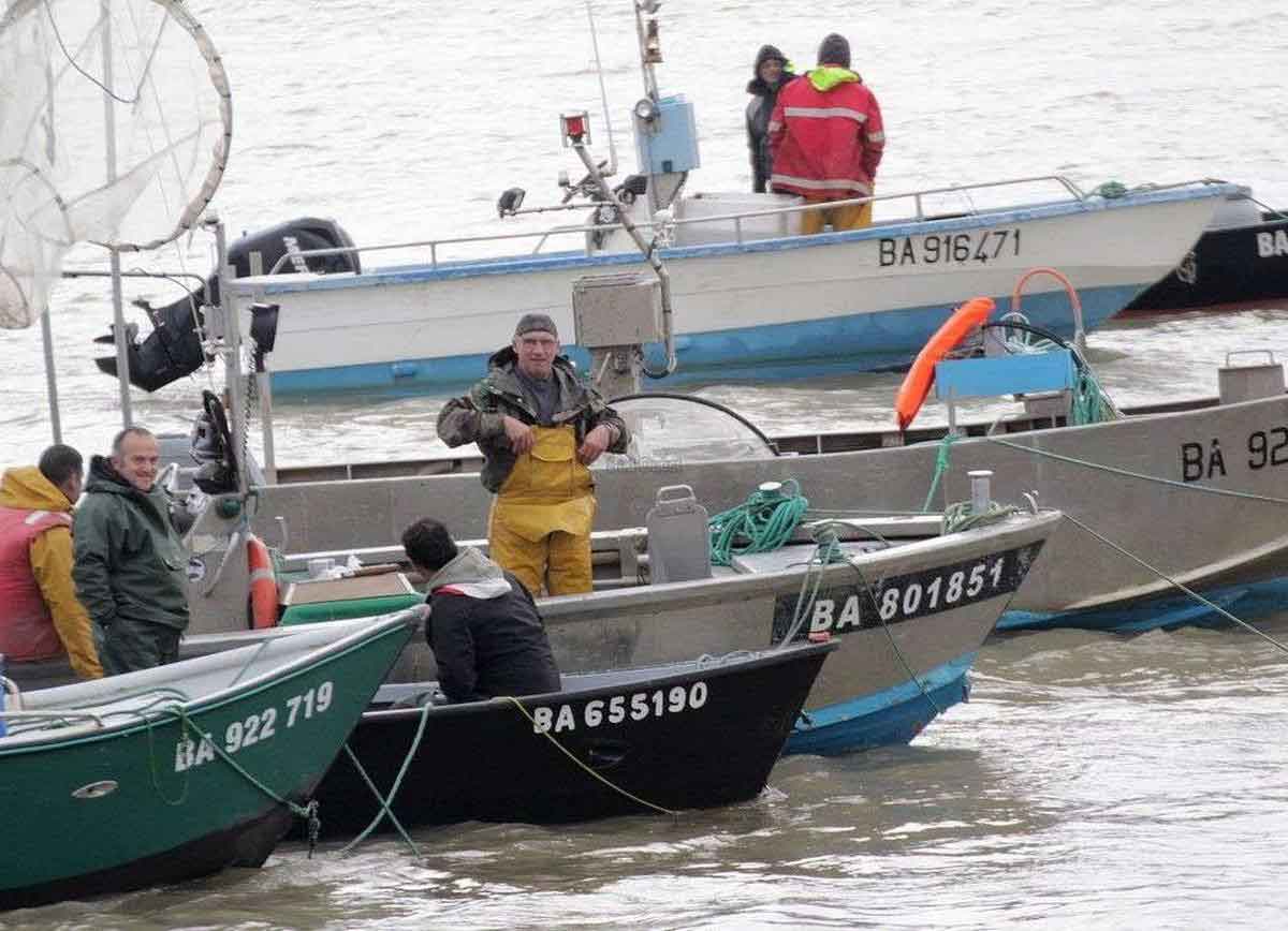 Read more about the article Fransk åle-vandvid vækker vrede blandt danske fiskere
