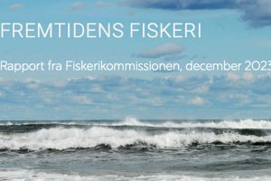 Fiskeriforeningen kræver politisk aftale for ro og bæredygtig udvikling foto: FiskerForum.dk