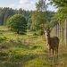 fri natur - arkivfoto