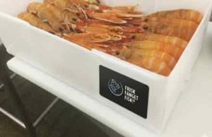 friskfangetfisk.dk - fiskerforum.dk