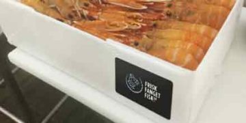 friskfangetfisk.dk - fiskerforum.dk
