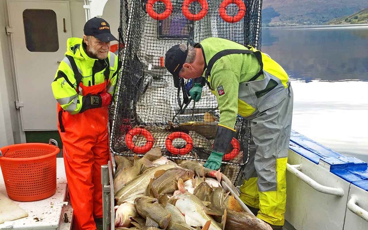 Read more about the article Frøystad åbner dørene for svenske og danske fiskere
