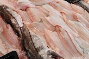 Frisk fisk fra P. Clausens Fiskehandel på Fiskerivej 4 i Aarhus-snapshot