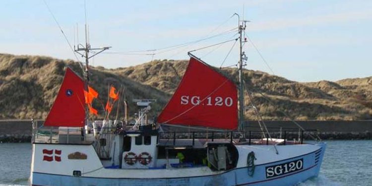 Spodsbjerg - Fiskeriet kaster i øjeblikket ikke meget af sig.  Foto: OJL