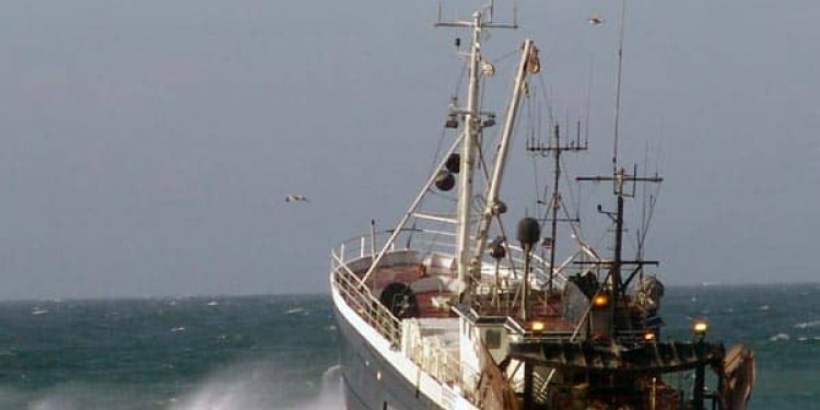 DFPO kritiserer EU´s alt for korte høringsfrist til den nationale torskeplan