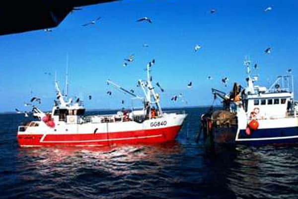 Read more about the article Afgiftslettelse på vej til fiskeindustrien.