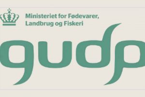 Den grønne omstilling af vores fødevareproduktion får et økonomisk rygstød. 24 projekter har fået tilsagn om samlet 169 millioner kroner fra Grønt Udviklings- og Demonstrationsprogram, GUDP. Samtidig er en ny ansøgningsrunde med yderligere 100 millioner åben. foto: GUDP