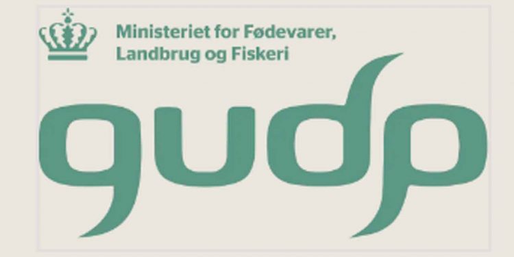 Den grønne omstilling af vores fødevareproduktion får et økonomisk rygstød. 24 projekter har fået tilsagn om samlet 169 millioner kroner fra Grønt Udviklings- og Demonstrationsprogram, GUDP. Samtidig er en ny ansøgningsrunde med yderligere 100 millioner åben. foto: GUDP