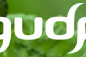 GUDP inviterer til informationsmøder.  Logo: GUDP