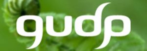 GUDP-workshop om ressourceeffektivitet.  Logo: GUDP