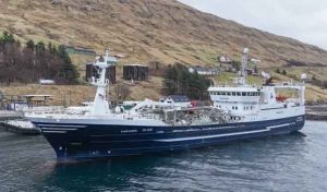 Framherji overtager det tidligere shetlandske pelagiske fiskeskib LK 297 »Serene«, som fremover skal sejle som »Fagraberg«. Samtidig er den hidtidige Fagraberg omdøbt til »Gamli Fagraberg« og sat til salg. foto: Kiran J