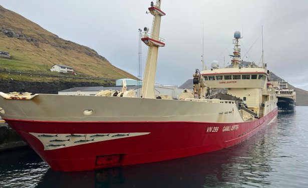 Trods disse forskningsresultater, så landede den færøske trawler **Gamli Jupiter** 2.000 tons makrel ved Havsbrún i Fuglefjord. foto: Fiskur.fo