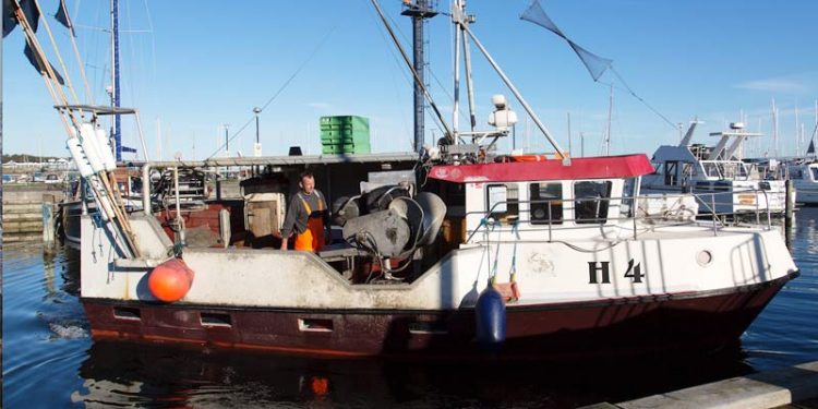 Kystfiskeriet er på rette kurs. Foto: Formandens fartøj i Helsingør Havn - FSK