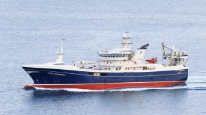 Den færøske trawler Gitte Henning 1 lander 3.000 tons blåhvilling i Hanstholm