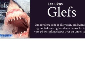 Ugens skarpe kommentar - fiskerimagasinet.no