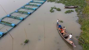 Global Fisheries Aquaculture production FAO