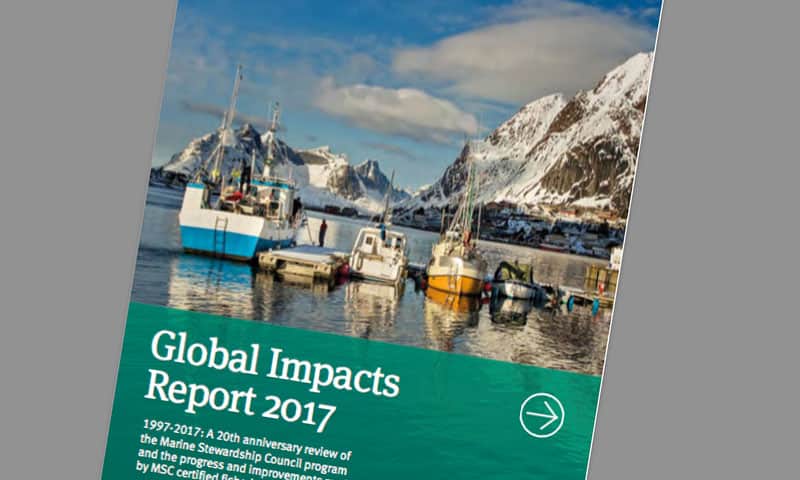 Read more about the article Ny rapport understreger vigtigheden af Certificerede bæredygtige fiskerier