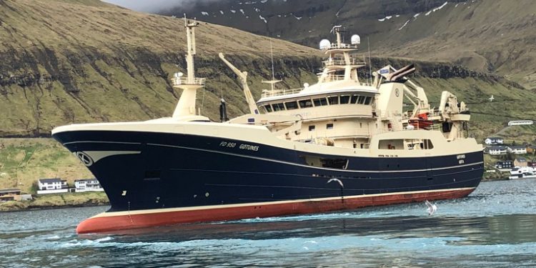 I Fuglefjord landede trawleren Gøtunes i sidste uge en last på 1.900 tons blåhvilling til Havsbrún, som de har fisket ud for Færøerne. foto: Havsbrun