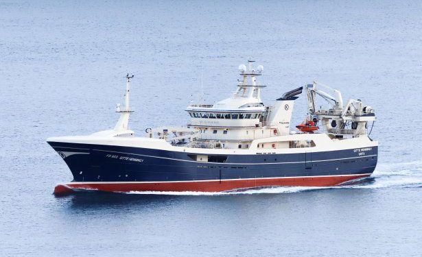 Færøerne: De pelagiske trawlere lander pæne lodde-fangster. foto: Gøtunes Kiran J