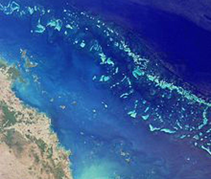 Read more about the article Undersøisk hedebølge dræber Great Barrier Reef