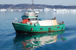 Hverken for varmt eller for koldt er godt for fiskeriet. Foto: Loddefiskeriet kystnært i Grønland har svigtet i år - FiskerForum