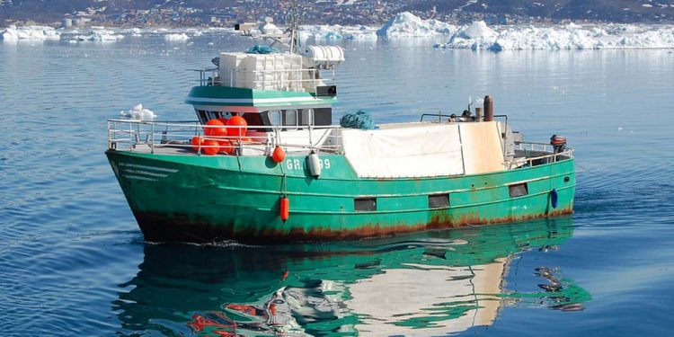 Hverken for varmt eller for koldt er godt for fiskeriet. Foto: Loddefiskeriet kystnært i Grønland har svigtet i år - FiskerForum