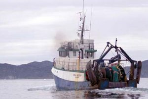 Ressourceafgifter på fisk gav balance på Grønlandsk finanslov   arkivfoto: Grønlandsk fiskeri - FiskerForum H.Hansen