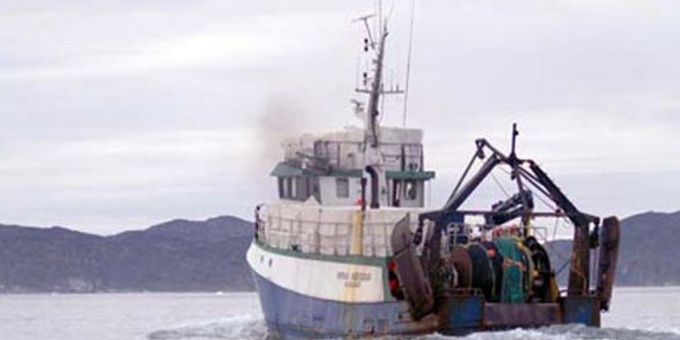 Ressourceafgifter på fisk gav balance på Grønlandsk finanslov   arkivfoto: Grønlandsk fiskeri - FiskerForum H.Hansen