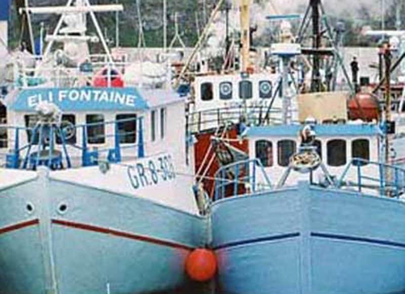 Read more about the article Royal Greenland kæmper imod fiskeriforslaget