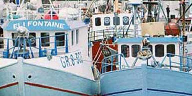 Den kommende Grønlandsk Fiskerilov under massivt pres