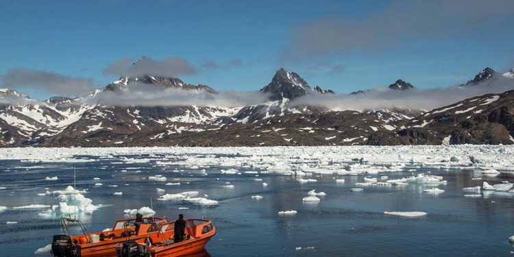 EU betaler for lidt for de Grønlandske fiskekvoter