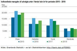 Grønlands Statistik: Flere hellefisk indhandlet i Nordgrønland. foto: statistik for fisk og skaldyr i Grønland