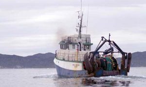 Færøerne og Grønland også enige om fiskeriaftale.  Arkivfoto: Grønlandsk fiskeri