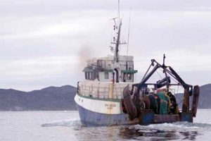 Færøerne og Grønland også enige om fiskeriaftale.  Arkivfoto: Grønlandsk fiskeri